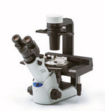 Evident CKX53 inverted microscope
