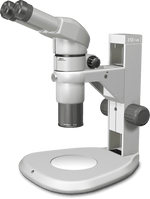 stereo microscope