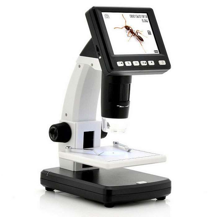 Digital Microscopes as Decision Intelligence Tools in Precision Workflows