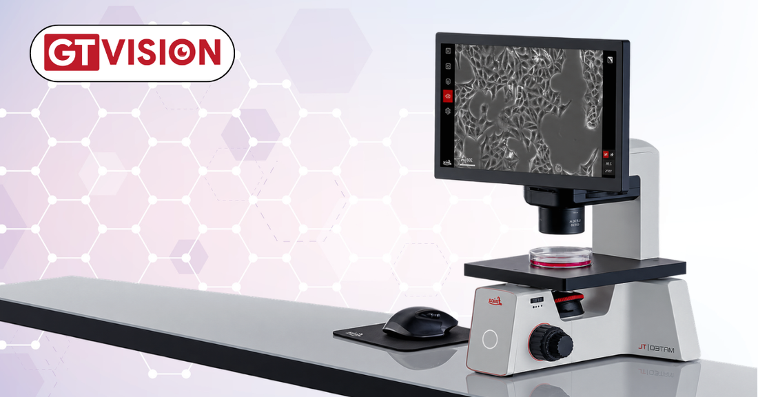 What Can You Actually See With a 400x Digital Microscope?