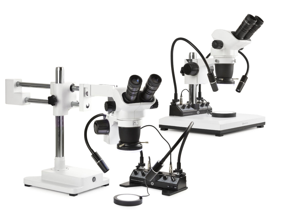 Designing Precision: A Strategic Guide to Buying Microscopes in the UK for Modern Applications