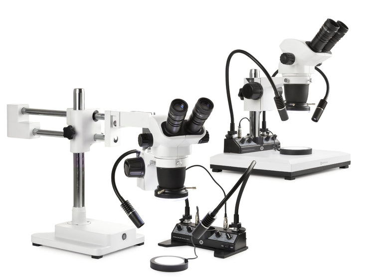 Designing Precision: A Strategic Guide to Buying Microscopes in the UK