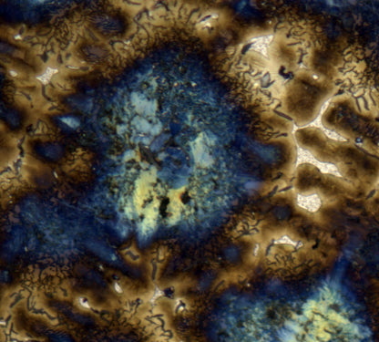 Materials Microscopes