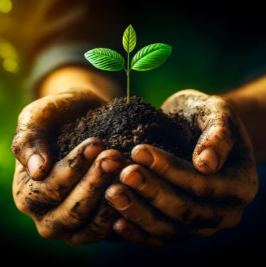 Soil Health