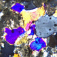 GX Microscopes XPLPoltec-3 Binocular Transmitted Illumination Polarising Microscope