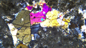 GX Microscopes XPLPoltec-2 Trinocular Transmitted Illumination Polarising Microscope