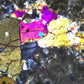 GX Microscopes XPLPoltec-3 Binocular Transmitted Illumination Polarising Microscope