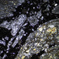 GX Microscopes XPLPoltec-2 Trinocular Transmitted Illumination Polarising Microscope