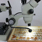 iLUMos Dual Gooseneck LED Microscope Illuminator