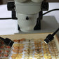 iLUMos Dual Gooseneck LED Microscope Illuminator