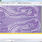 Basler ACE Series - Advanced USB-3 C-Mount Microscopy Camera Series + PGI IProcessor + Software