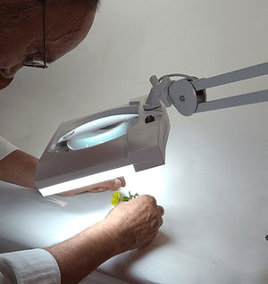 SUPER Wide Lens 2.25X & 5X Magnifier, Long Reach, Articulated Arm Desk Stand and G-Clamp Daylight LED
