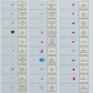 Prepared Histology Slides - Wooden Box Containing 30 Expertly Sectioned and Stained Specimens