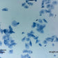 ioLight Portable Digital Microscope 2µm resolution 2mm field of view