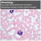 Leica DM1000 Biological Microscope- Research and Clinical Grade