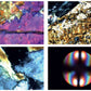 Leica DM750P Polarising Microscope- Transmitted & Reflected Illumination