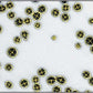 HistoLab Image Analysis Software for Fully Automatic Feature Size, Shape and Colour Analysis