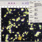 HistoLab Image Analysis Software for Fully Automatic Feature Size, Shape and Colour Analysis