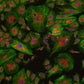 GXCAM FluoMax 8MP Cooled Microscope Camera- ideal for fluorescence