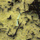 Filtrex Image Analysis System for Fully Automatic Filtered Particle Counting and Sizing ISO16232