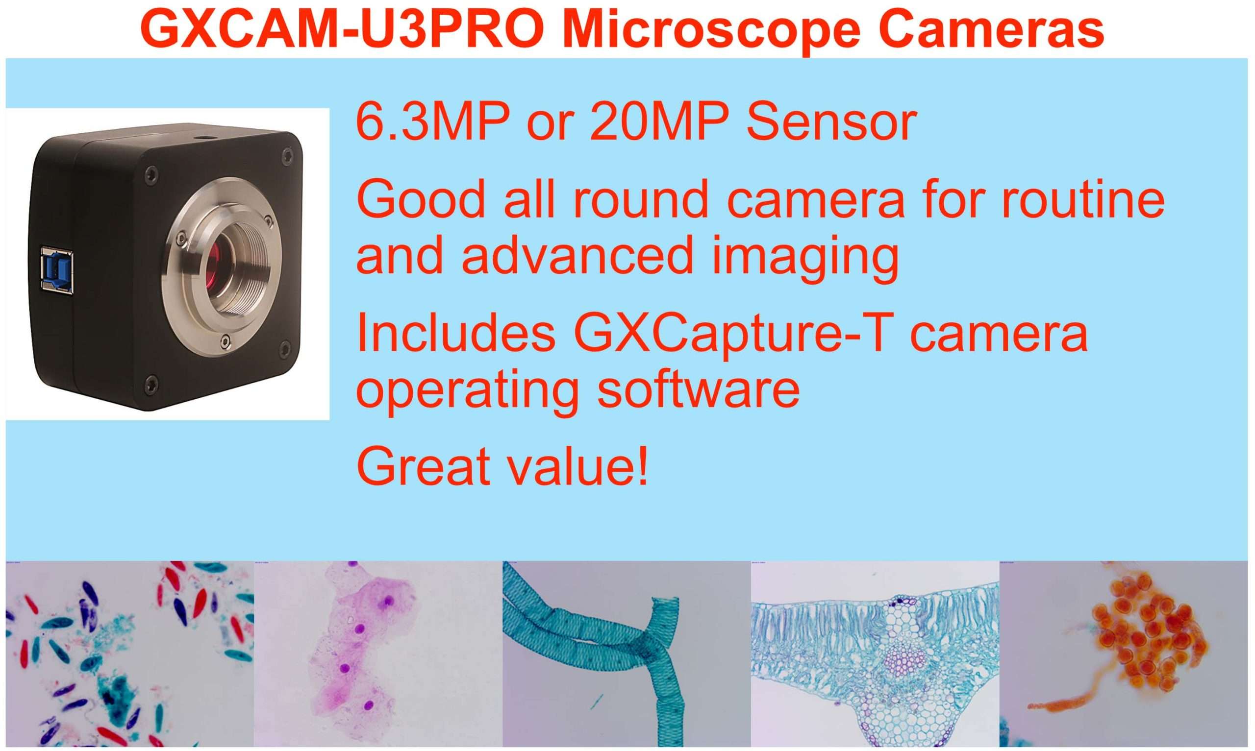 Visual Microscope Camera Microscope Cameras