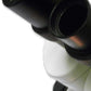 GXM- 10X Focussing Eyepiece With Reticle Scale,100 Division Horizontal Axis Crosshair for ultraZOOM-2+
