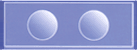 250 Dual Well Glass Microscope Slides (3"x1" - 25.4mm X 76.2mm) packed into 5 Boxes of 50