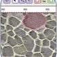 Grains' Image Analysis Software for High Speed, Accurate, Automated Grain Sizing to ASTM E112