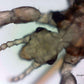 ioLight Portable Digital Microscope 1µm resolution 1mm field of view