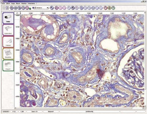 HistoLab Histology image analysis software