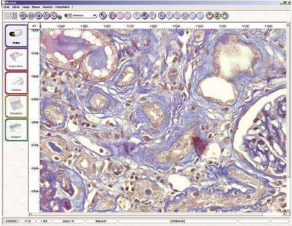 HistoLab Histology image analysis software