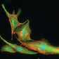 HistoLab Image Analysis Software for Fully Automatic Feature Size, Shape and Colour Analysis
