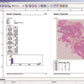 HistoLab Image Analysis Software for Fully Automatic Feature Size, Shape and Colour Analysis