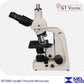 Meiji MT5300L Research Grade Upright Trinocular Microscope 40-1000x