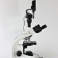 GX Microscopes UltraBIO-5-DIGI Digital Biological Microscope With Display Screen