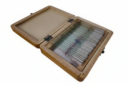 Prepared Histology Slides - Wooden Box Containing 30 Expertly Sectioned and Stained Specimens
