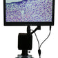 GXCAM Microscope Camera- HiChrome-HR4 HiRes HDMI/USB/WiFi 16MP Premium Microscope Camera- High Resolution Model