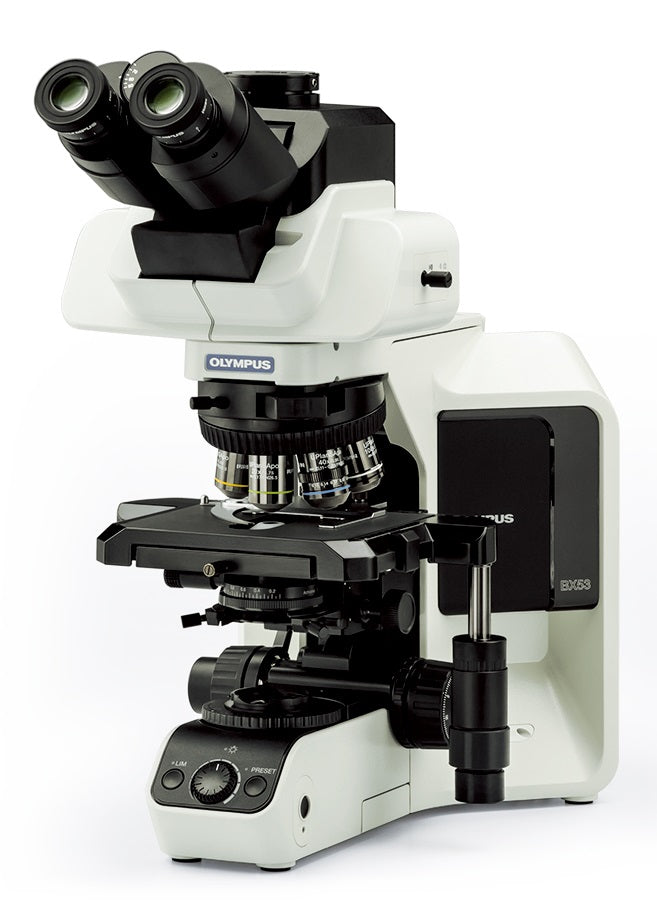 Evident BX53 biological microscope
