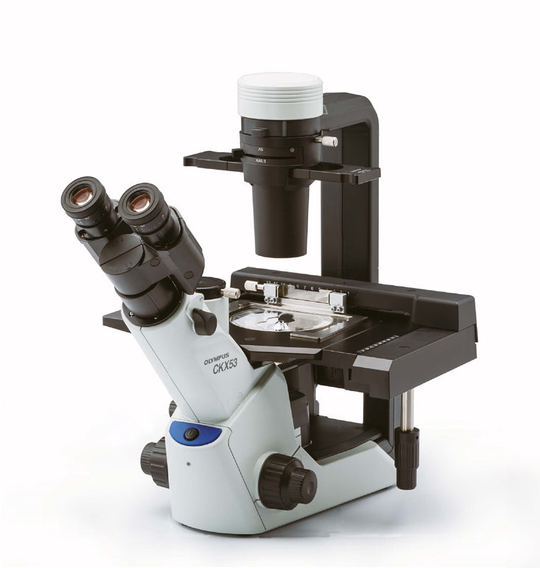 Evident CKX53 inverted microscope