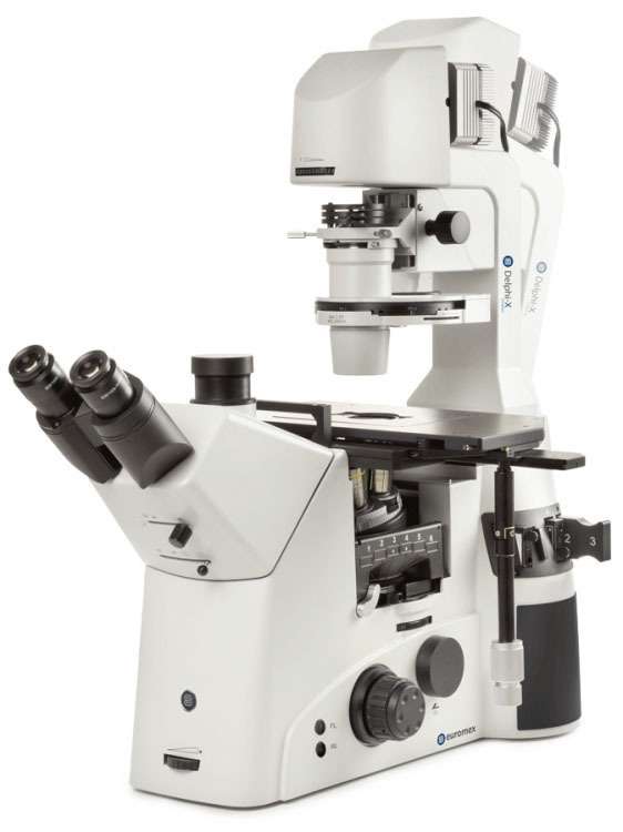 Delphi-X Inverso inverted microscope 10/20/40x objectives NeoLED illumination