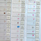 Prepared Histology Slides - Wooden Box Containing 30 Expertly Sectioned and Stained Specimens