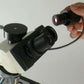 DinoEye Digital Eyepiece Microscope Camera 1.3MP USB with DinoCapture Software