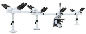 iScope multihead microscope with 7 heads