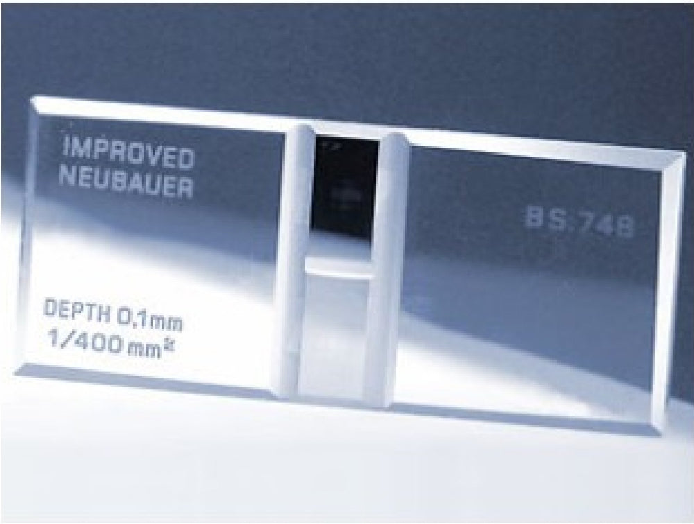 Improved Neubauer Counting Chamber
