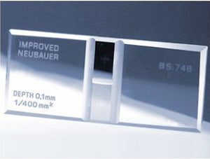 Improved Neubauer Counting Chamber