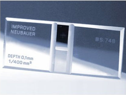 Improved Neubauer Counting Chamber