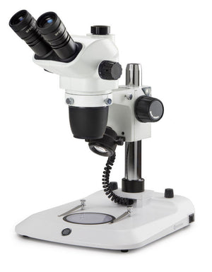 NexiusZoom Stereo Microscope