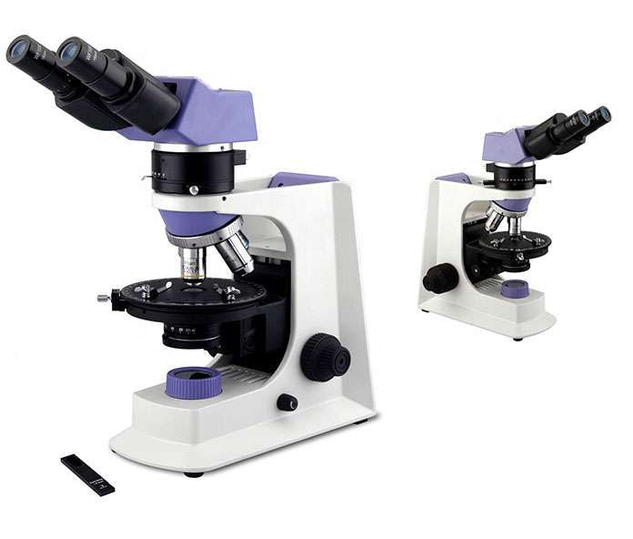 Parcentered Microscope GX Microscopes XPLPoltec-4 Binocular Transmitted Illumination Polarisi