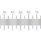 Calibration Slide 10mm/0.1mm- Transmitted Illumination