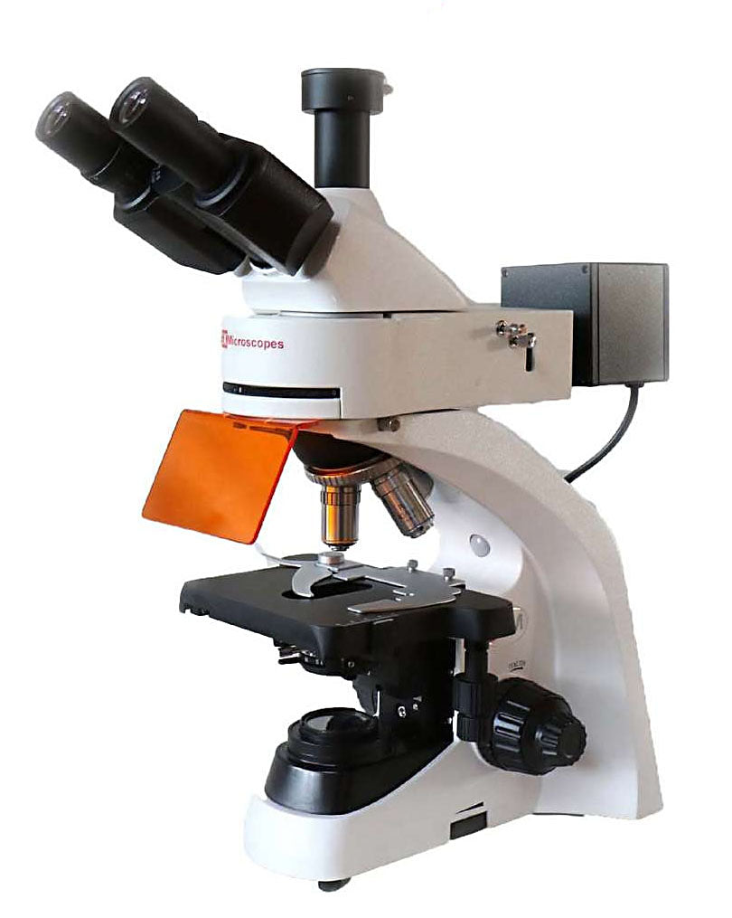 Ght Microscope GX Microscopes ultraBIO-5 Fluorescence Microscope